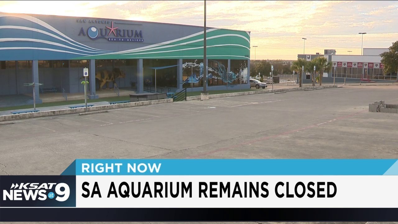 San Antonio Aquarium set to reopen Wednesday after fixing...